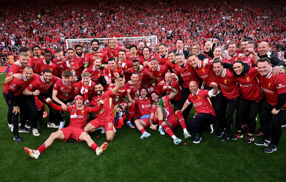 附赠所有D 附赠所有D